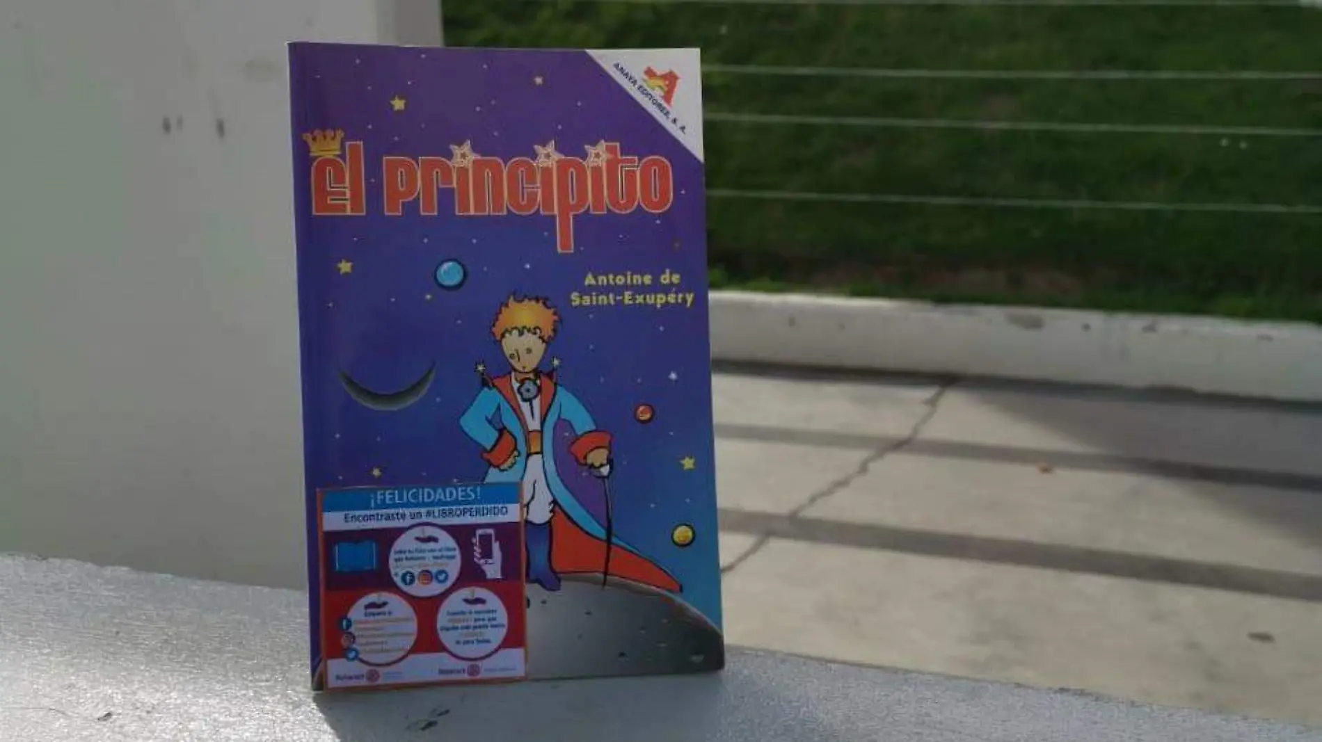 3 Pierden 60 libros en Cuauhtémoc para fomentar la lectura - copia